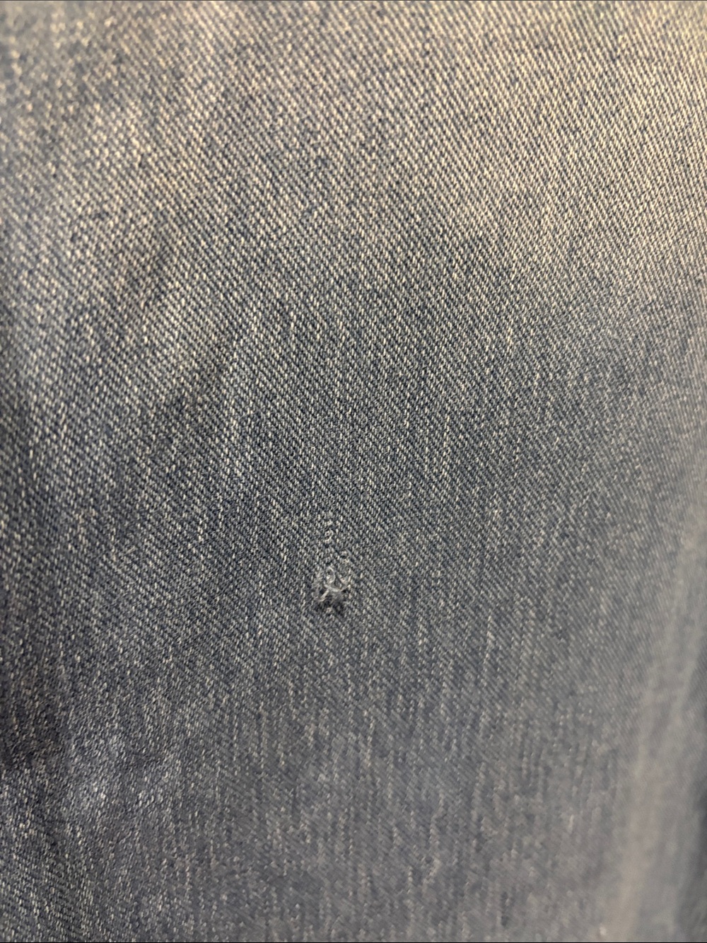 HALARA Light Blue Straight-Leg Jeans - Picture 3 of 5